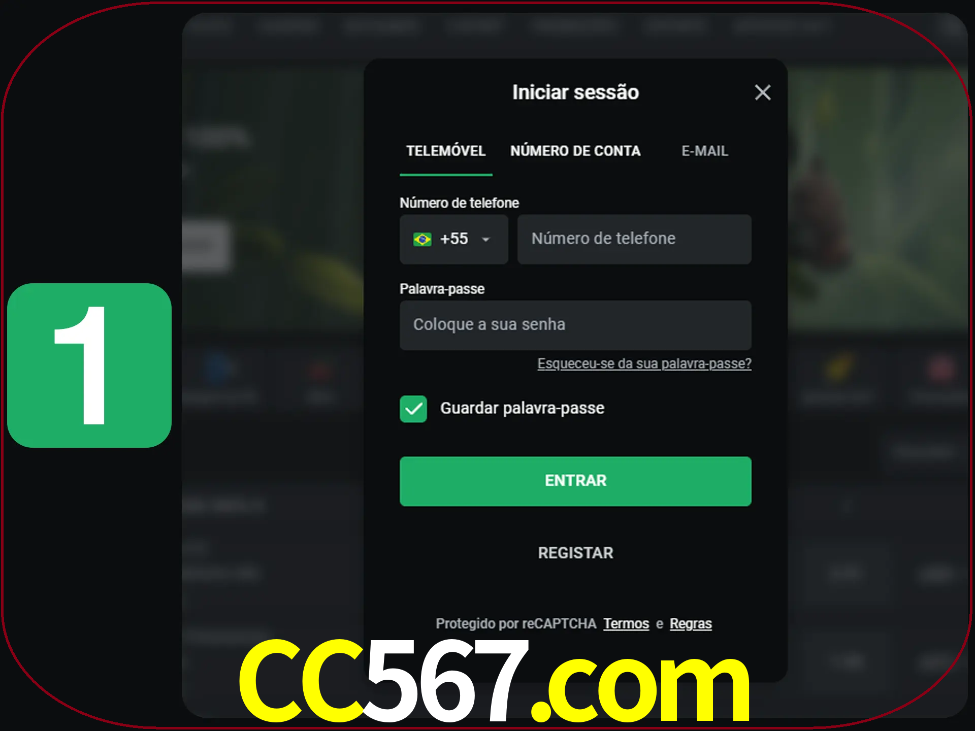 Clique no botão Entrar.